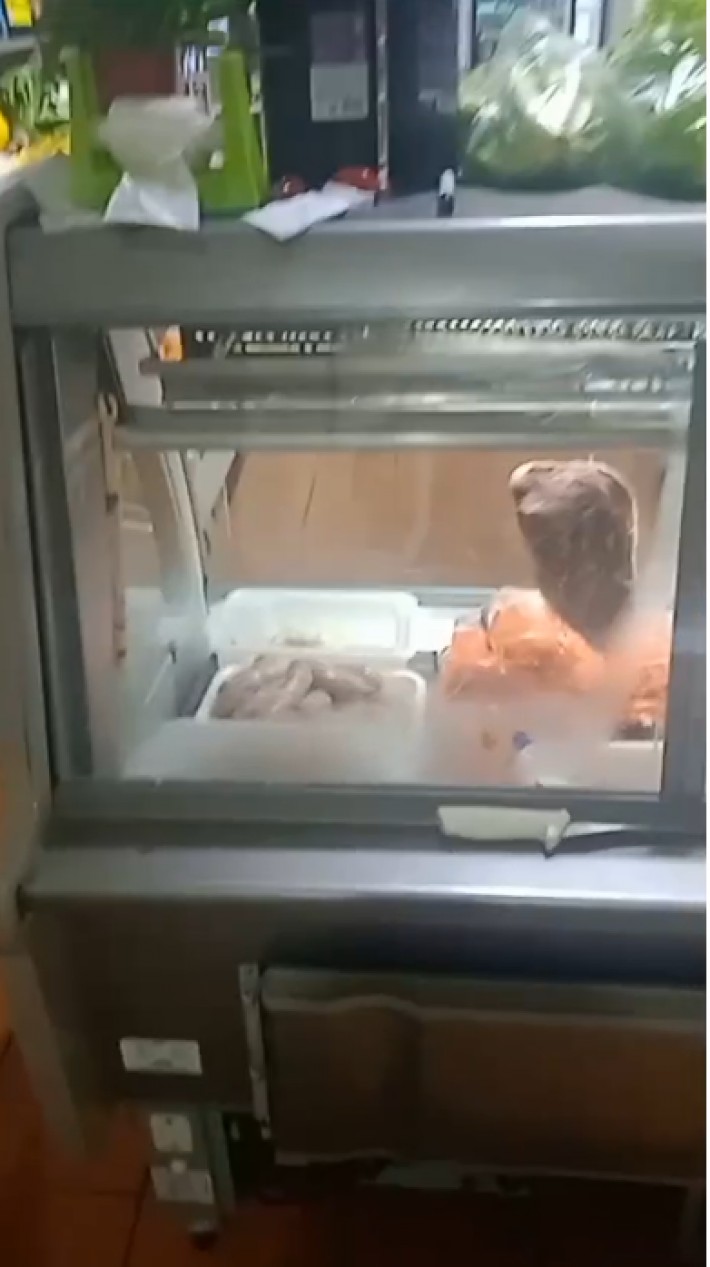 Postagem de Refrigeração Ninja / A. Reginatto