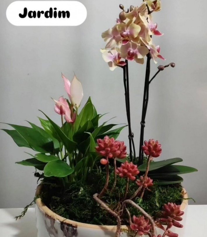 Postagem de Floricultura Madagascar