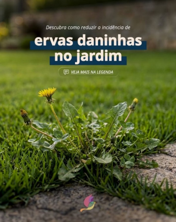Postagem de Floricultura Toque Especial