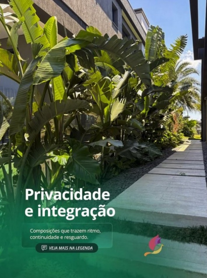 Postagem de Floricultura Toque Especial