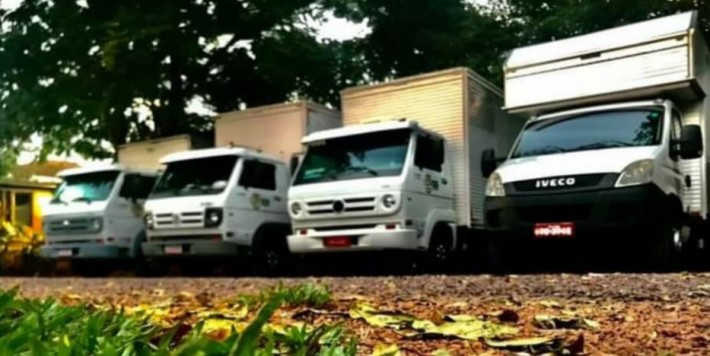 Postagem de MG Fretes e Mudanças