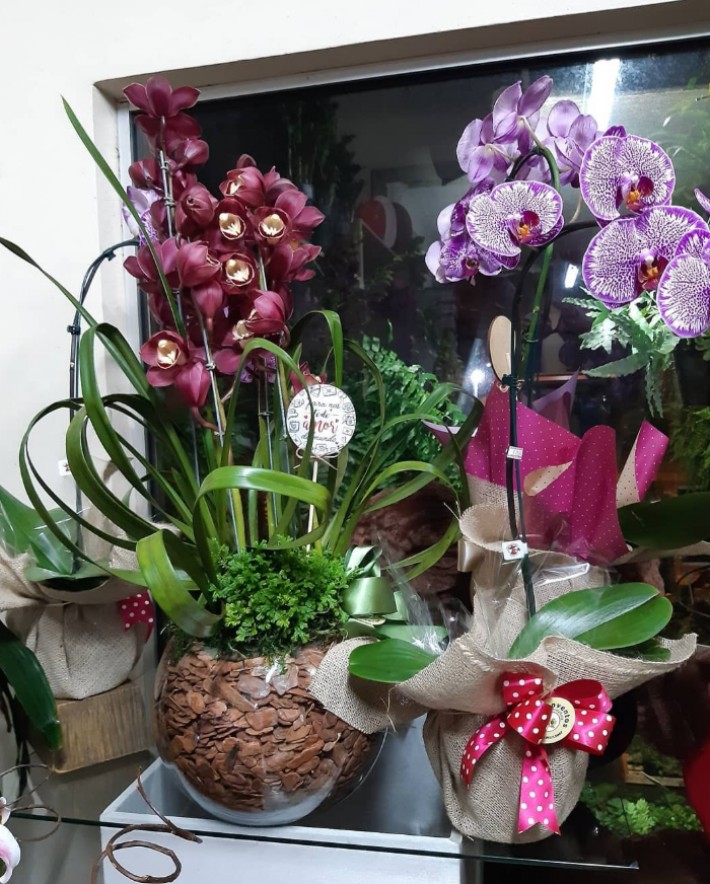 Postagem de Floricultura e Agropecuária Conventos