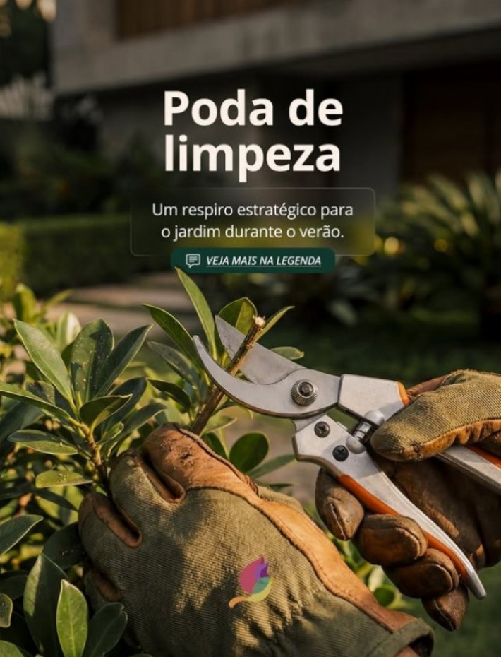 Postagem de Floricultura Toque Especial