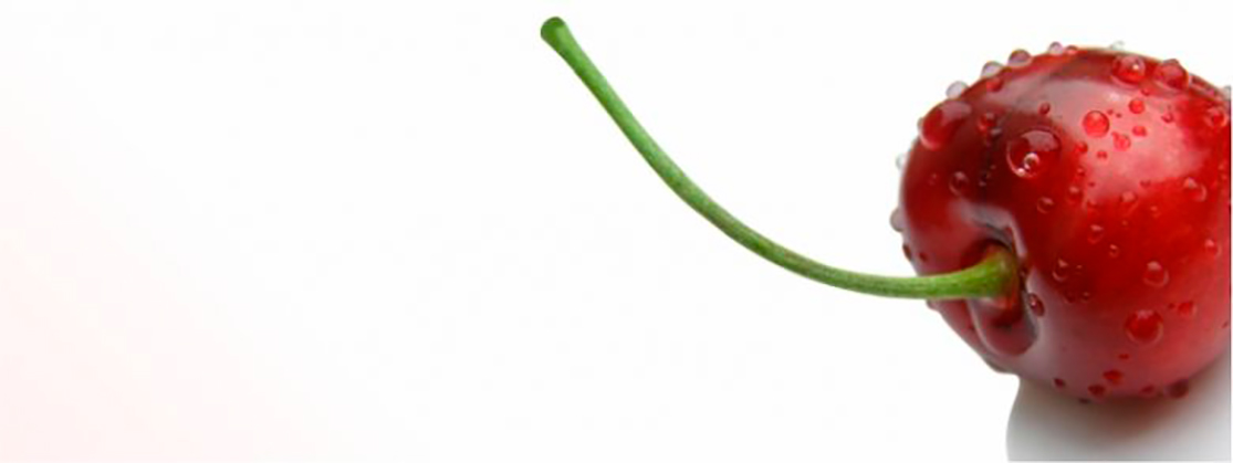 Banner Nutricionista Mariane Halmenschlager