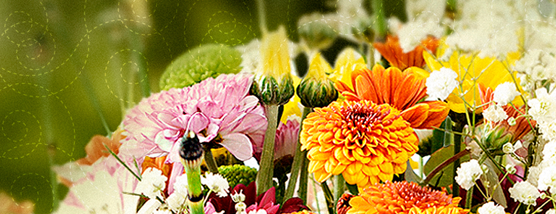 Banner Floricultura Rossol