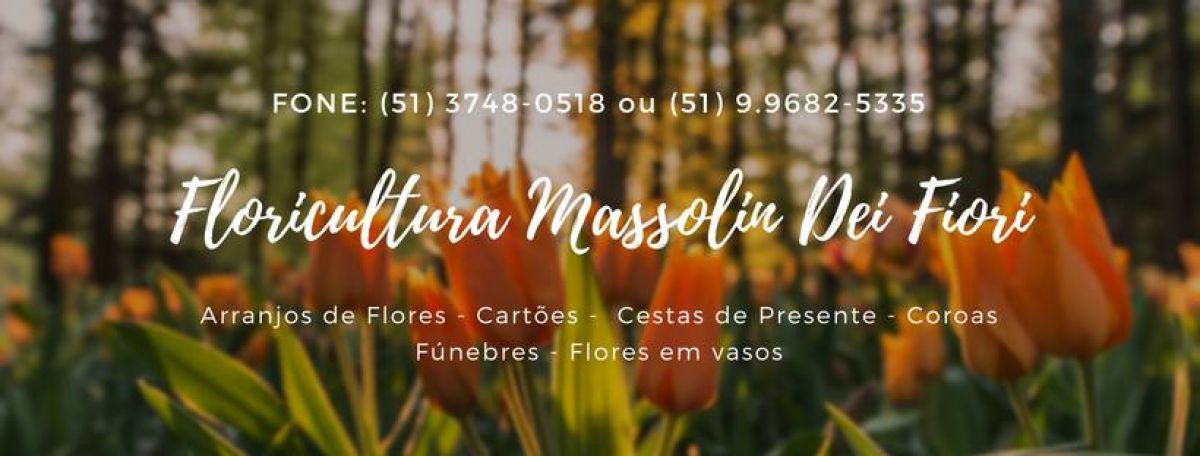 Banner Floricultura Massolin Dei Fiori