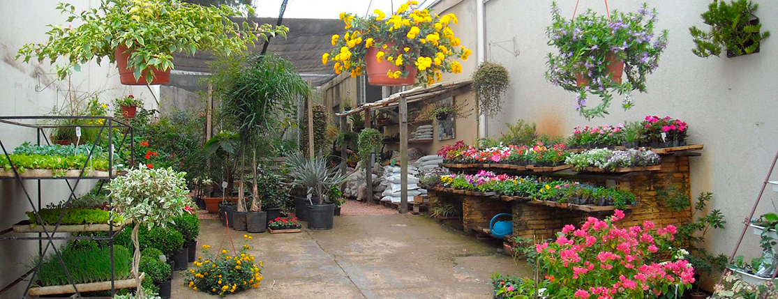 Banner Rosa Flor – Floricultura
