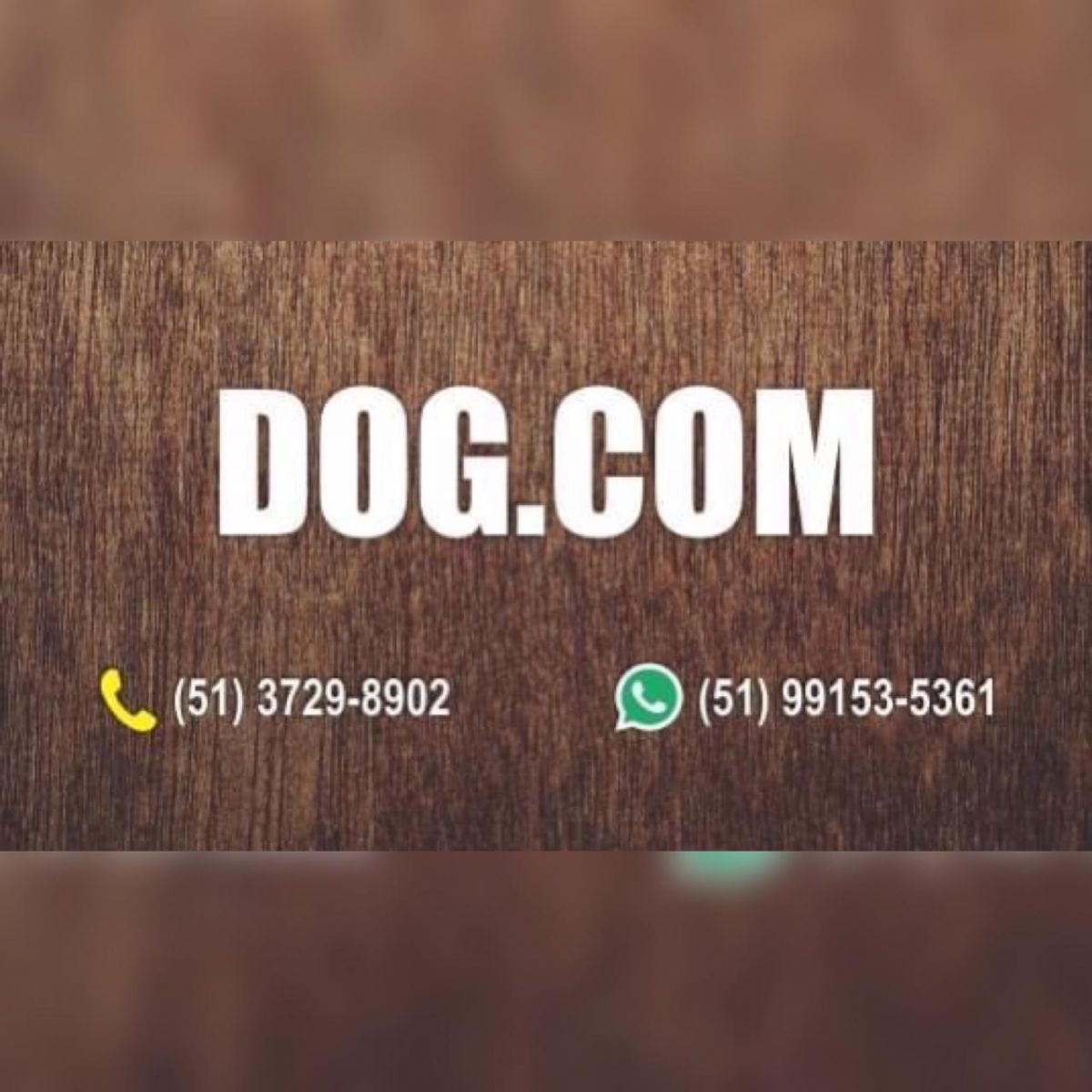Banner Lancheria Dog.com