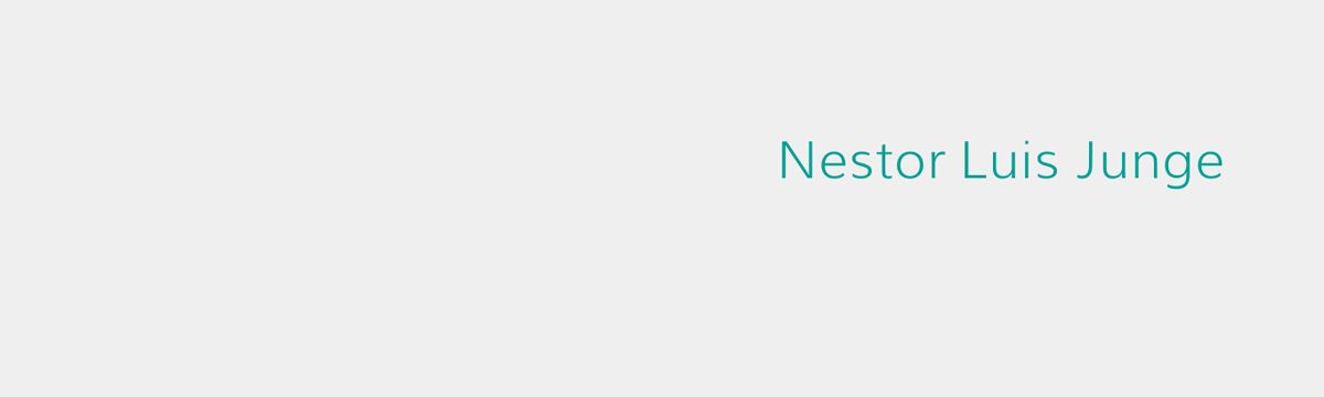 Banner Nestor Junge – Arquiteto