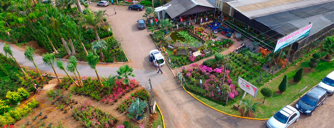 Floricultura Toque Especial